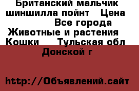 Британский мальчик шиншилла-пойнт › Цена ­ 5 000 - Все города Животные и растения » Кошки   . Тульская обл.,Донской г.